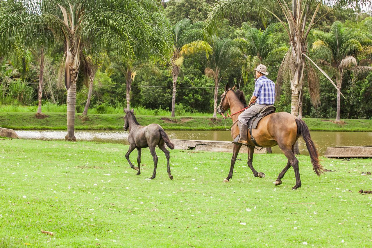 Hotel Fazenda Igarapés Extérieur photo